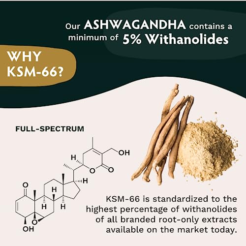TRIBE ORGANICS Vegan Ashwagandha KSM 66 Pure Organic Root Powder Extract Ayurvedi
