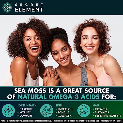 Sea Moss Capsules - Irish Sea Moss Advanced with Burdock Root, Bladderwrack