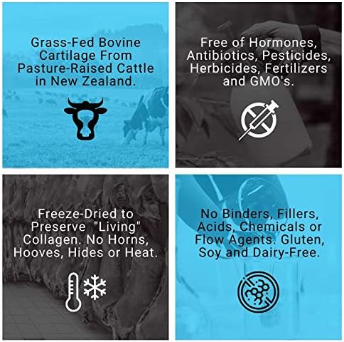 Bovine Cartilage: Grass Fed Beef Cartilage/Collagen Pills - Joint Supplement (Glucosamine Chondroitin, Type 2 Collagen, Hyaluronic Acid Supplements) - 90 Grass Fed Collagen Capsules