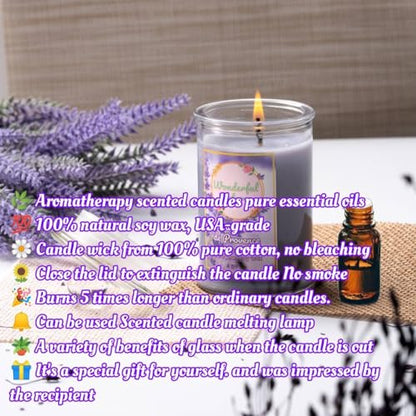 Wonderfulnature Lavender de Provence Pure Essential Oil Scented Candle, Aromatherapy