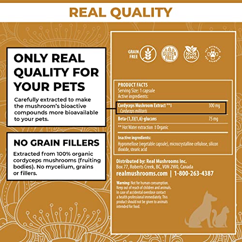 Real Mushrooms Cordyceps Pet Support Mushroom Supplement (120ct) Cat & Dog