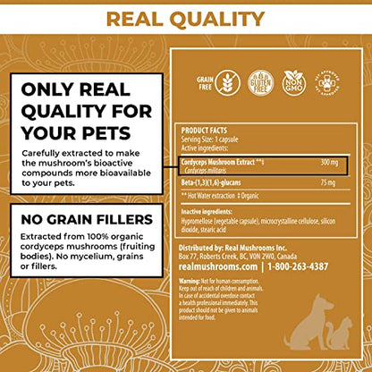 Real Mushrooms Cordyceps Pet Support Mushroom Supplement (120ct) Cat & Dog