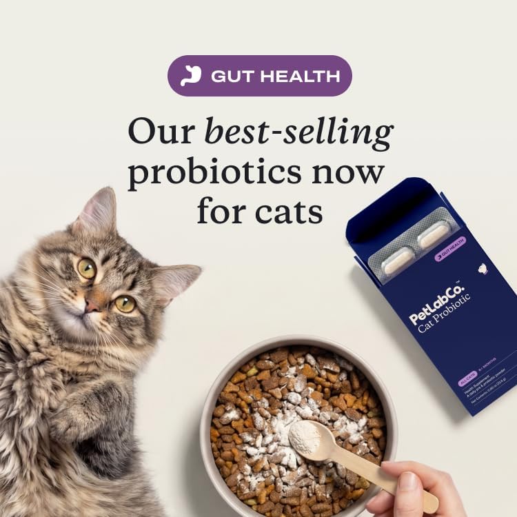 PetLab Co. Probiotics for Cats, Gut & Digestive Support, 30 Capsules | 6-strain blend with 2.1 billion CFUs and pumpkin prebiotic to support digestive function and healthy stool