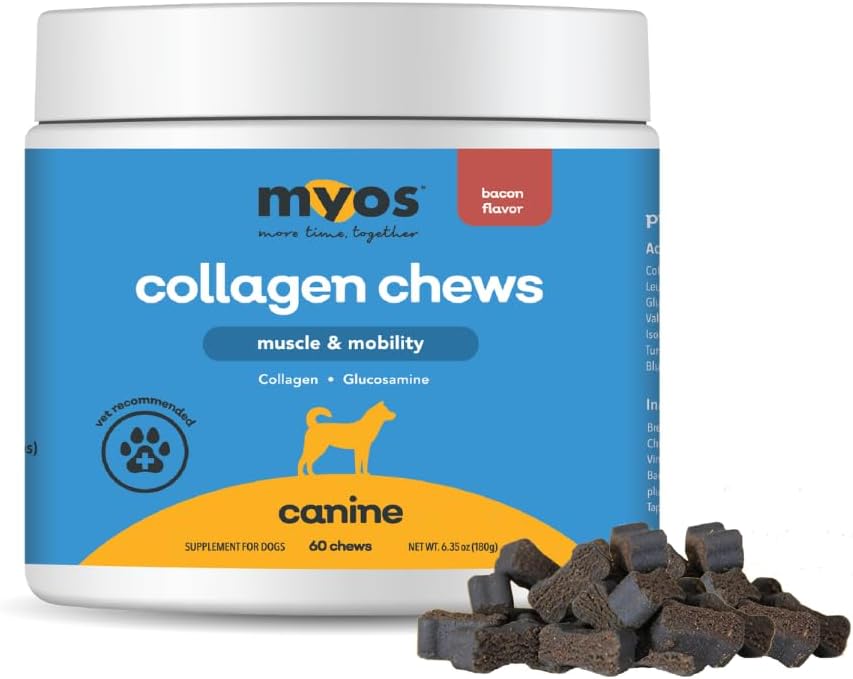 MYOS Probiotic & Muscle + Mobility Bundle for Dogs – Digestive Support & Gut Health with Collagen & Glucosamine Joint Supplement – Complete Daily Wellness Chews (60 Ct Each)