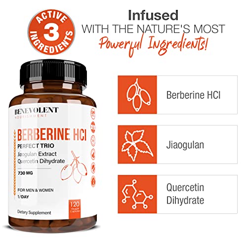 Premium Berberine HCL 730mg - 120 VCAPS Perfect Trio Complex with Non-GMO Jiaogulan