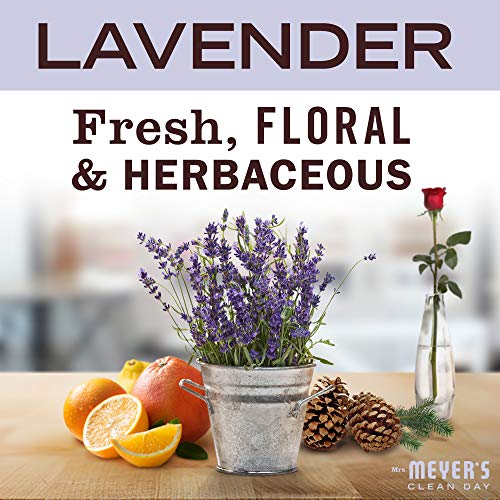 Mrs. Meyer's Clean Day Liquid Hand Soap Refill, Cruelty Free and Biodegradable Formula