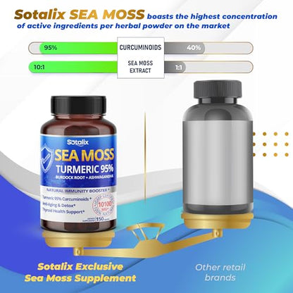 Sotalix Sea Moss Capsule 10100mg with Ashwagandha, Burdock Root, Bladderwrack