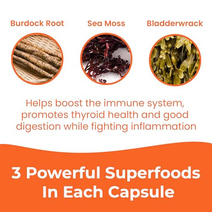 INFINITE AGE: 1250mg Sea Moss Advanced Superfood - High-Potency, Vegan