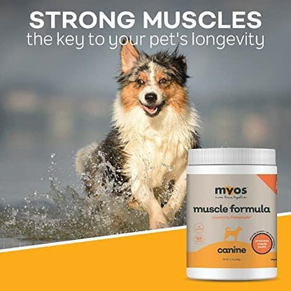 Powered by Fortetropin All-Natural Dog Muscle Builder and Mobility Support Supplement for Strength and Recovery - Helps Reduce Muscle Loss Due to Normal Aging, 360g