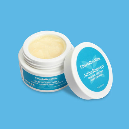 Charlotte's Web Active Recovery Muscle & Joint Relief Ointment 1.55oz