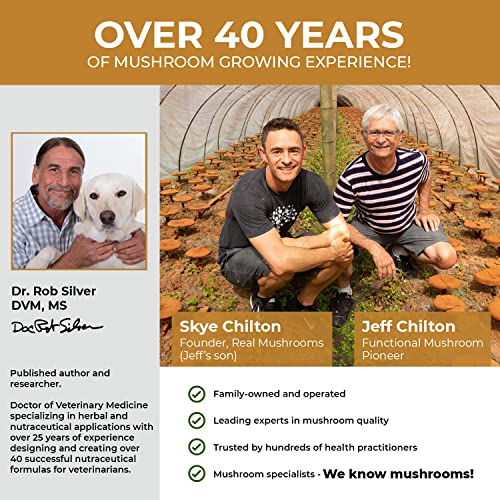 Real Mushrooms Cordyceps Pet Support Mushroom Supplement (120ct) Cat & Dog