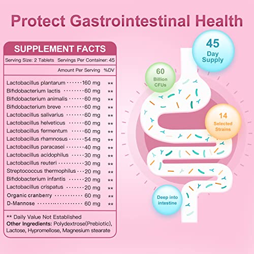 Probiotics-for-Women, Probiotics and Prebiotics, Cranberry and D-Mannose, 50-Billion