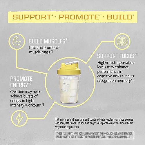 Creatine Monohydrate Powder Micronized PreWorkout Recovery Supplement | Support