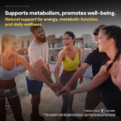 Self Obsessed Shilajit Gummies x Melt Mode (Bundle) – Men's Vitality & Metabolism Stack: Testosterone Support + Appetite & Metabolism Support with Shilajit, Tongkat Ali & Glucomannan