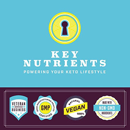 KEY NUTRIENTS Multivitamin Electrolytes Powder Packets - Refreshing Lemonade 40 pack