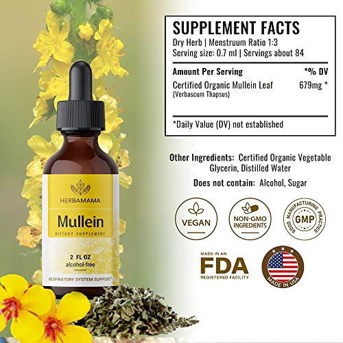 Mullein Leaf Tincture - Lung Cleanse - Vegan Lung Detox - Respiratory Health