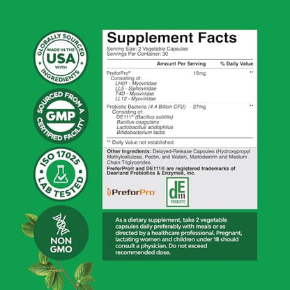 Prebiotics and Probiotics Gut Health Supplement - Super Potent Digestive Health Acidophil