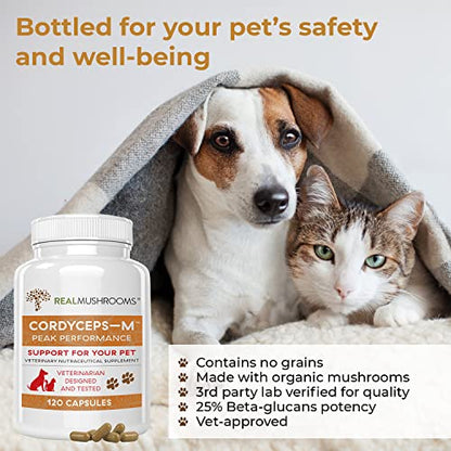 Real Mushrooms Cordyceps Pet Support Mushroom Supplement (120ct) Cat & Dog