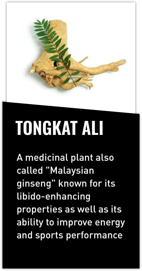 Mdrive Tongkat Ali LJ100 Longjack Mens Supplement 30 Veg Capsules | Boost Vitality Hormone Support Eurycoma Longifolia Extract Enhance Libido Stamina Muscle Tone Performance Non GMO Vegan