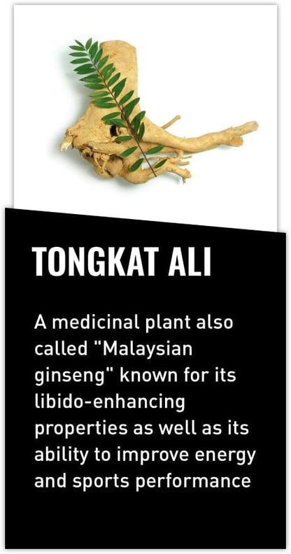 Mdrive Tongkat Ali LJ100 Longjack Mens Supplement 30 Veg Capsules | Boost Vitality Hormone Support Eurycoma Longifolia Extract Enhance Libido Stamina Muscle Tone Performance Non GMO Vegan