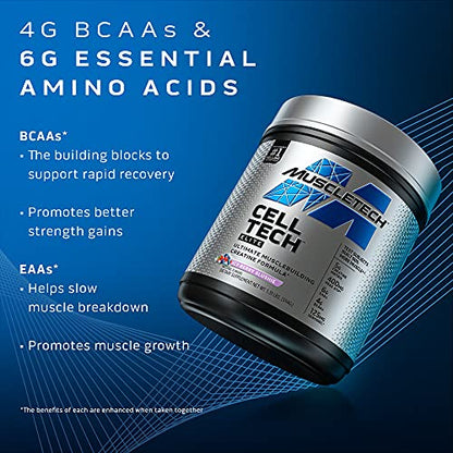 Creatine Powder | MuscleTech Cell-Tech Elite Creatine Powder | Post Workout Recovery