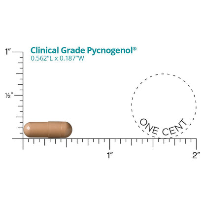 Dr. Whitaker's Clinical Grade Pycnogenol 50mg, 60 Capsules (60-Day Supply)