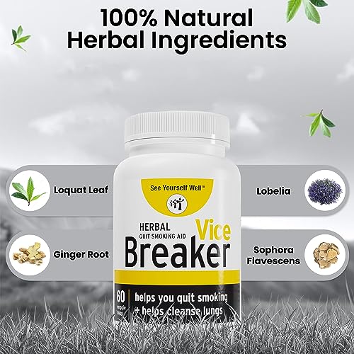 Vice Breaker: Quit Smoking for The Last Time. Stop Smoking Within 30 Days