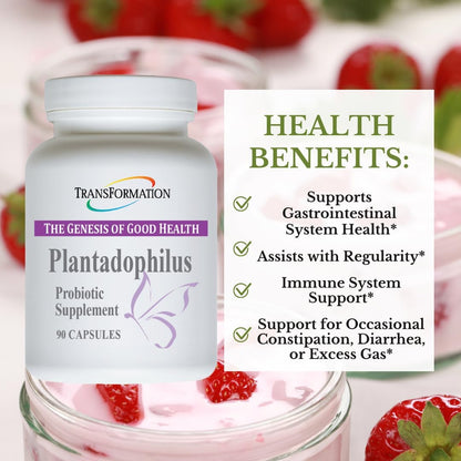 Transformation The Genesis of Good Health Enzymes Plantadophilus Natural Plant-Based Probiotics Supplement, Practitioner Recommended, Non-GMO, for Digestive Health, Immune Support, Gut Balance, 90