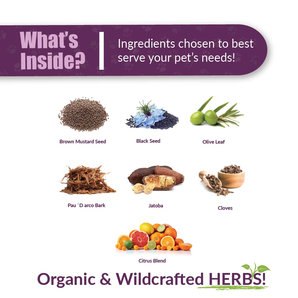Amber NaturalZ Vibactra Plus for Pets, Immune Health & Yeast Balance, 1 OZ | Supports overall immune health, stomach & respiratory health, helps pets maintain normal yeast balance & a healthy microbiome