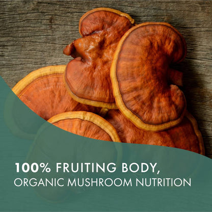 PURE ESSENCE LABS MyPure Reishi 4X Organic Mushrooms Supplement - 100% Real Mushroom Extract for Immune Support, Stress Relief, Build Energy (60 Capsules)