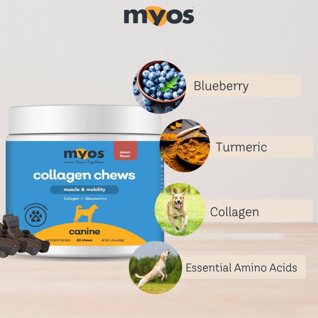 MYOS Canine Muscle & Joint Health Bundle – Fortetropin® Powder (396g) + Bacon-Flavored Mobility Chews with Collagen & Glucosamine (60 Count)