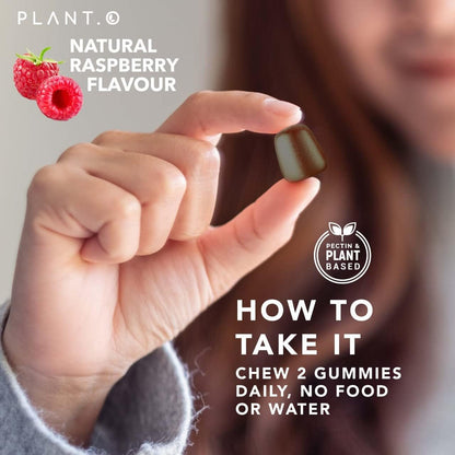 Mushroom Gummies Premium Supplement [10 Mushroom Complex Extract] Delicious & Fast Acting Lion’s Mane, Reishi, Shiitake Nootropic Brain Support, Immune Support, Mood & Relaxation, 60 Chews