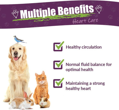 Amber NaturalZ Hawthorn & Dandelion for Pets, Heart & Circulation Care, 1oz | Maintains optimal cardiovascular wellness in pets. Supports normal heart function, healthy blood circulation & fluid balance.