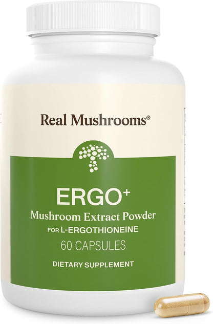 Real Mushrooms Ergothioneine Supplement – Golden Oyster Mushroom with Beta-Glucans – L-Ergothienine Extract Poweder – Organic, Vegan, Non-GMO, No Fillers – 60 Capsules Mushroom Supplement for Humans