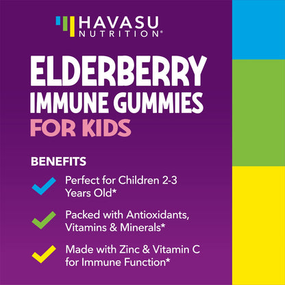 Elderberry Gummies for Kids with Vitamin C & Zinc, Berry, 30 Servings | Vegan, Non-GMO, Gluten Free Immune Support for Children, Daily Defense with Antioxidants & Essential Nutrients, 60 Count