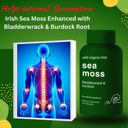 Advanced Bionetix Organic Irish Sea Moss Capsules, Raw Wildcrafted Seamoss Enhanced w/Bladderwrack & Burdock Root Capsules 120 Total Pills Antioxidant Packed. Prebiotic Superfood, Thyroid Support