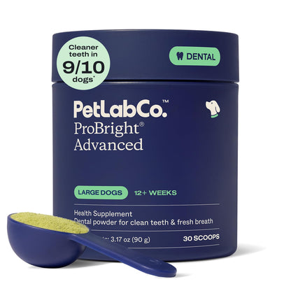 PetLab Co. ProBright Advanced Dental Powder, Small Dogs, 30 Scoops | Three-Time Award-Winning* formula shown to support tartar reduction and fresh breath in 28 days, One scoop daily