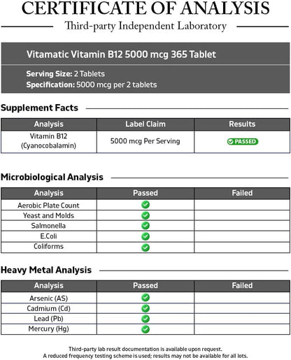 Vitamatic Vitamin B12 5000 mcg – 365 Fast Dissolve Tablets Berry Flavor – Supports Energy Production & Nervous System Health – Non-GMO, Gluten-Free