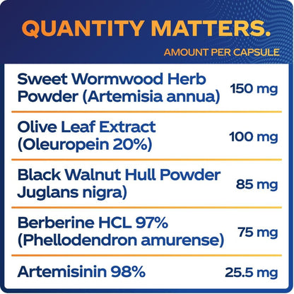 para-X para Cleanse Digestive Support Capsules – Black Walnut Hull, Wormwood, Artemisinin, Berberine, Olive Leaf | Herbal Formula for Adults | 90 Veggie Caps para-X