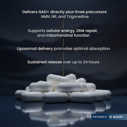 Renue By Science NAD+ Complete | 120 Liposomal NAD Supplement Capsules with NMN, NR & Trigonelline - 310mg NMN & 160mg NAD per Serving | Bioavailable Formula for Increased Absorption | Made in the USA