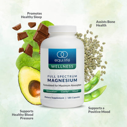 Equilife - Activated B Complex (60 ct.), Full Spectrum Magnesium (180 ct.), Daily Activated Multi-Vitamin (30 Servings)