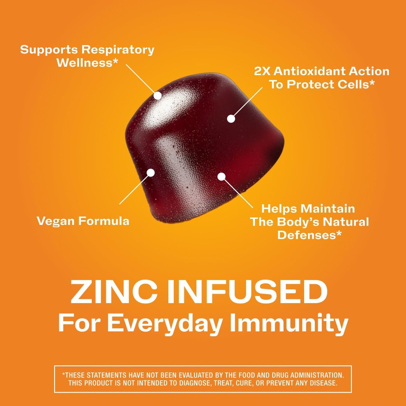 Vimergy NutriDense Berrylicious Immunity* Chewables (500mg Elderberry Extract & 7.5mg Zinc Sulfate per Serving) Vegan, No Artificial Sweeteners, Gluten-Free, Immune Support, 30 Servings (60 Count)