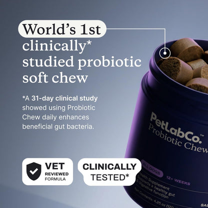 PetLab Co. Probiotic Chews for Dogs, 30 Soft Chews, Salmon | 8-strain probiotic blend with prebiotics to support digestive health, skin and seasonal allergy support