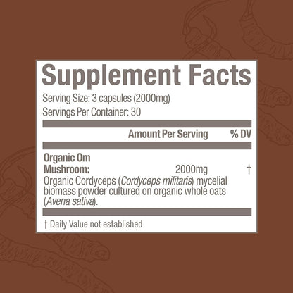 OM MUSHROOM SUPERFOOD Cordyceps Mushroom Capsules Superfood Supplement, 90 Count, 30 Days, Organic Energy Supplement for Stamina and Endurance