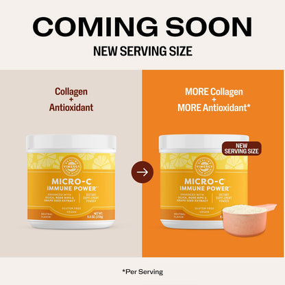 Vimergy Micro-C Immune Power TM *- 250g– 69 Servings – 2000mg/serving – Gentle Form – Antioxidant Phytonutrients – Immune & Nerve Support – Benefits Bone & Cartilage – Gluten-Free – Kosher – Vegan
