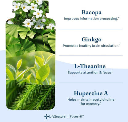 LifeSeasons Focus-R Concentration Support – Memory, Focus & Mental Clarity Supplement with Bacopa, Rhodiola, L-Tyrosine & B Vitamins – Cognitive Performance & Brain Energy – 60 Veg Capsules