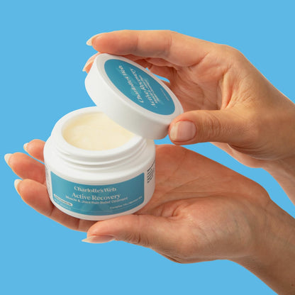 Charlotte's Web Active Recovery Muscle & Joint Relief Ointment 1.55oz