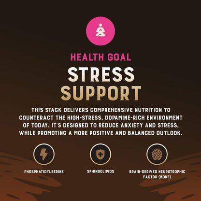 Stress Stack – Mood, Memory, Brain, Bone Marrow, Liver, and Immune Support Supplements for Cognitive and Overall Vitality