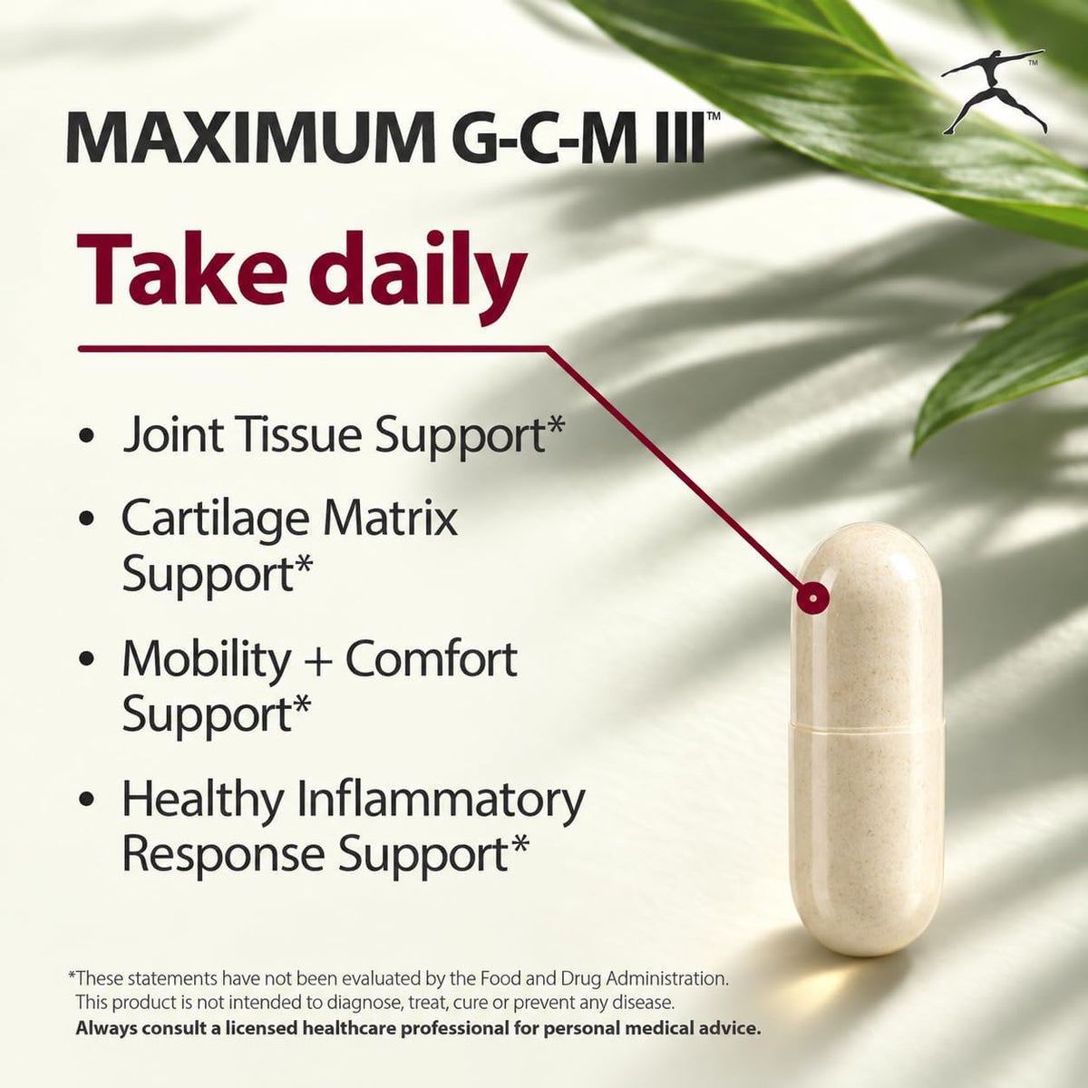 BIOSPEC NUTRITIONALS Maximum G-C-M III - glucosamine, chondroitin, MSM, Boswellia (20% AKBA) (240)