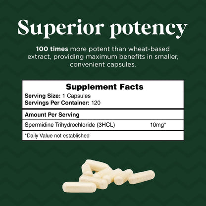 Probase Nutrition Spermidine (10mg of 99% Spermidine 3HCL - Third Party Tested) 120 Capsules - 100x More Potent Than Wheat Germ Extract, Telomere Health and Aging 120-Day Supply - As efficient as NMN